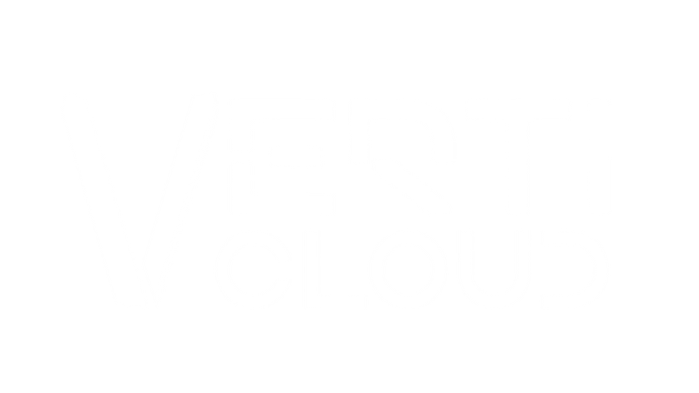 verticloud logo for Agentforce event(5).png