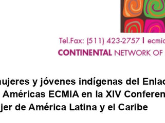 Recomendaciones del Enlace Continental de Mujeres Indígenas de las Américas