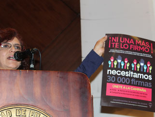 #NiUnaMasTeLoFirmo. El proceso y los resultados. La incidencia.