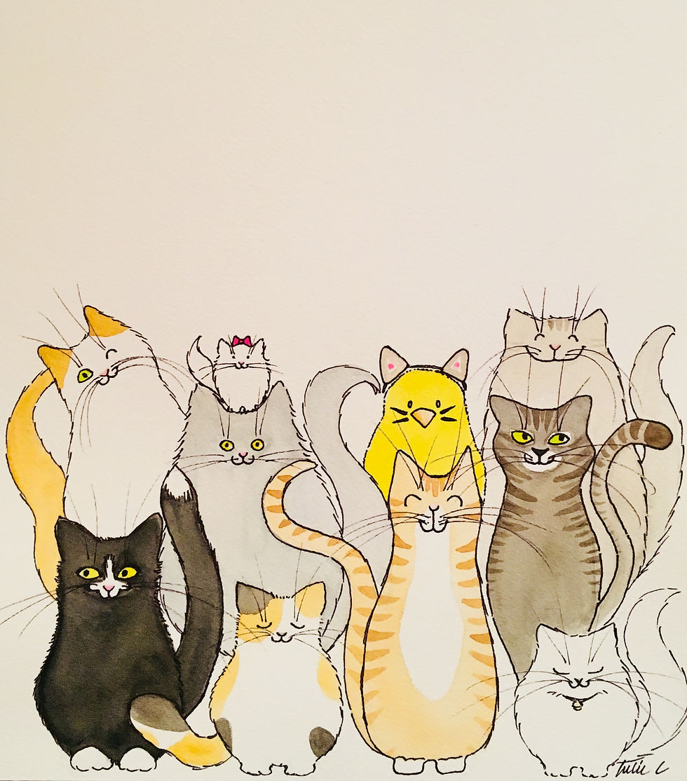 Chats, chats, chats, 2018