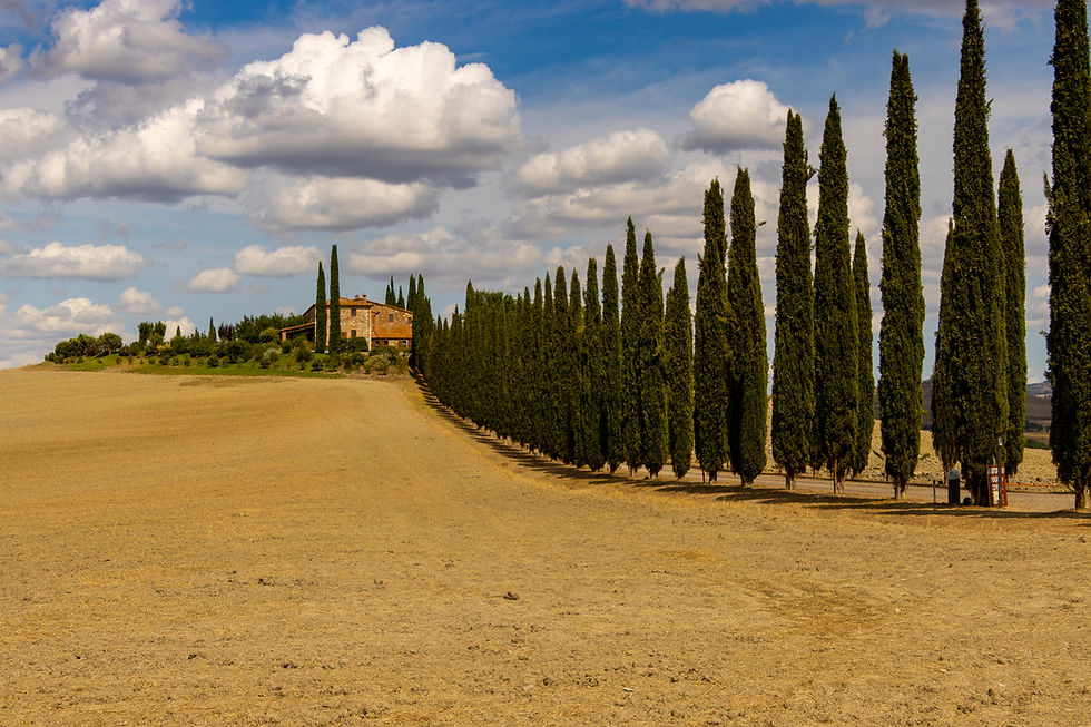 IMG_2963.jpg