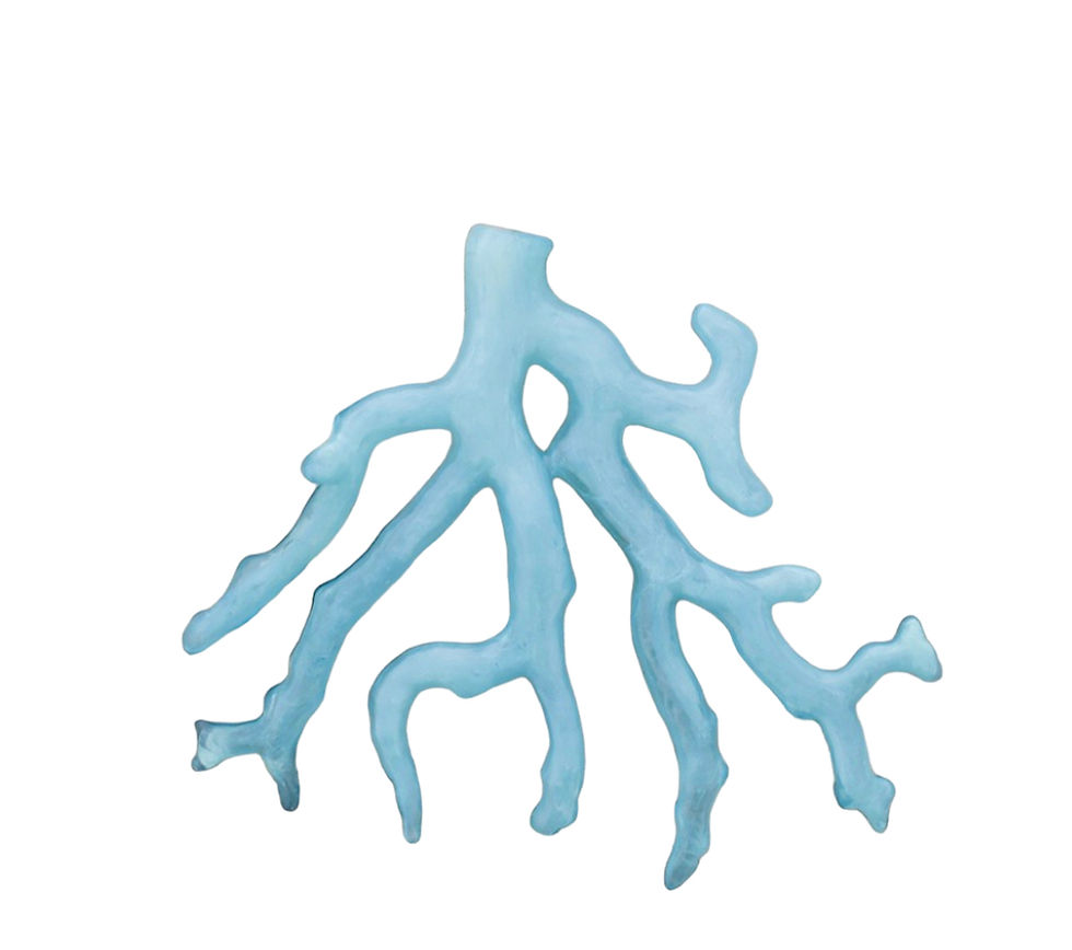 Broche Coral Turquesa