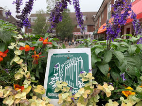 A year of Grayshott in Bloom