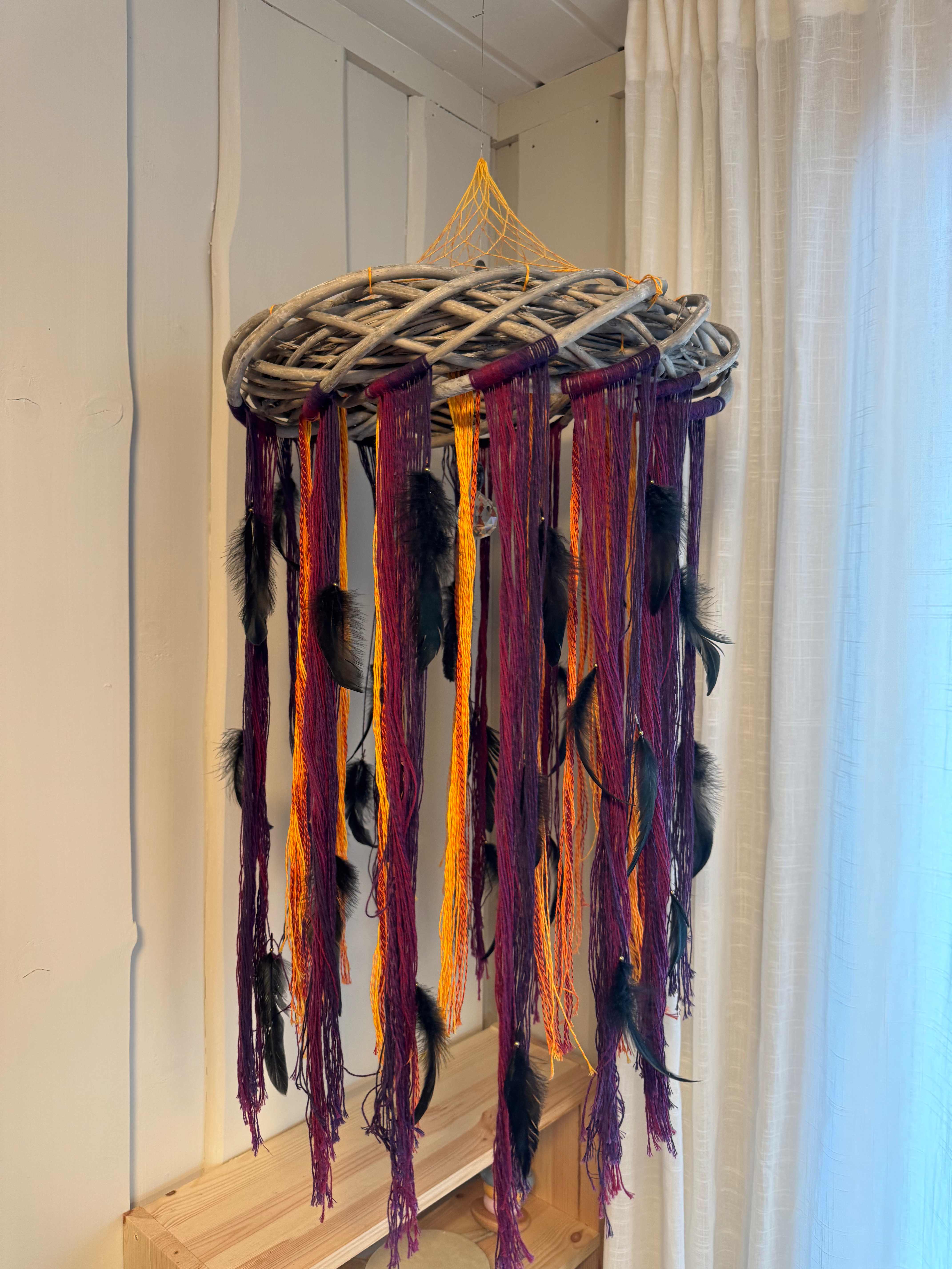 The web of the desert