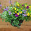 Thumbnail: Hanging Basket 12"
