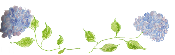 Screen Shot 2018-06-29 at 5.24.47 PM.png