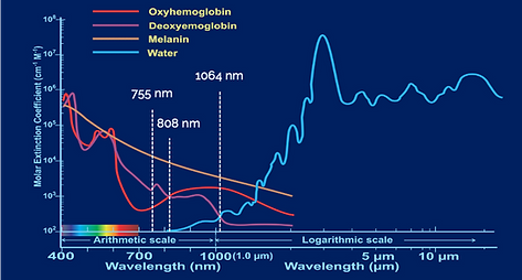 absorption graph.png