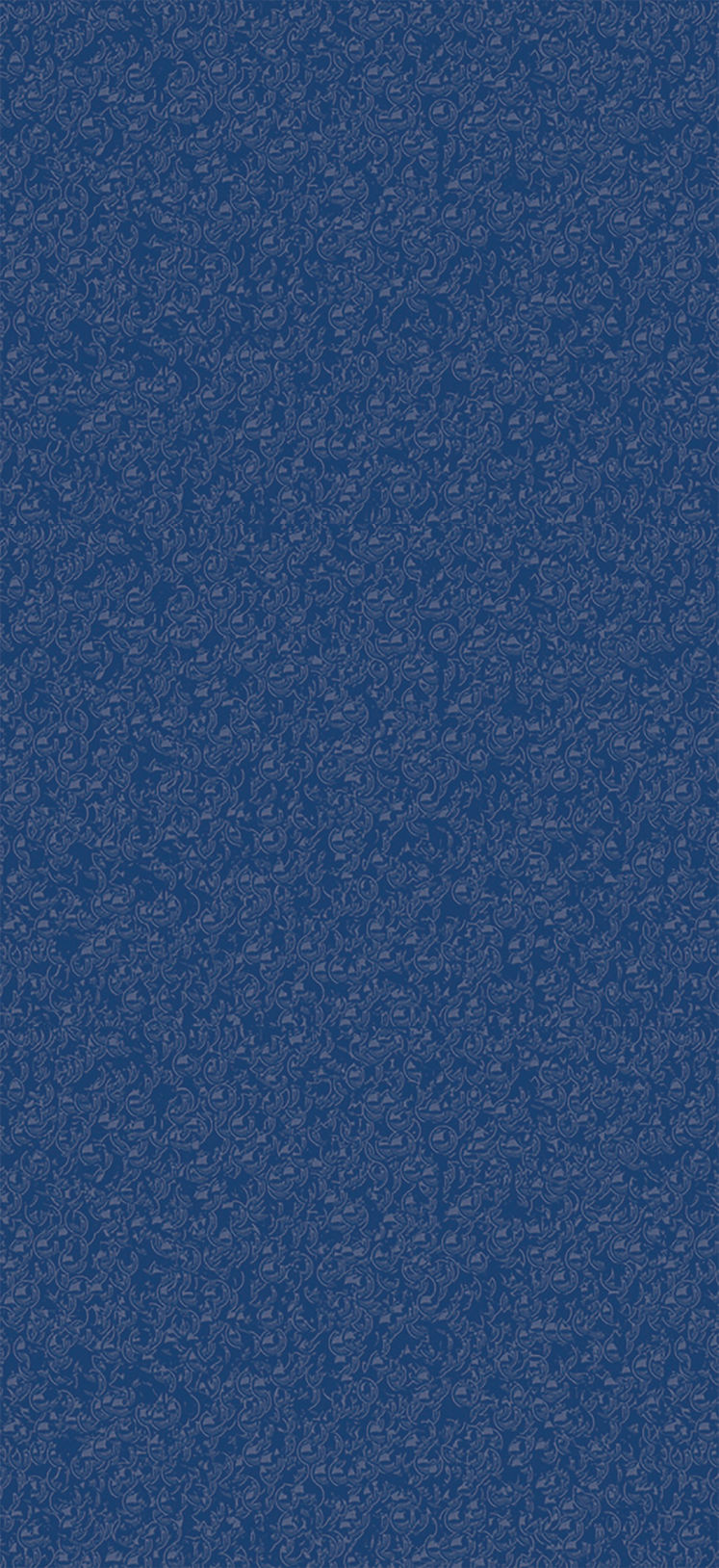 WEB-NEW BACKGROUND copy.jpg