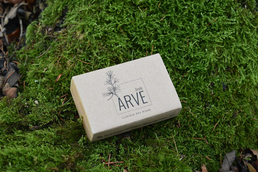 full_spaalpina_scene_blockseife_grass_0 (1).JPG