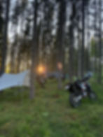 Camping with hammocks