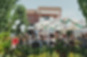 image-2.jpg