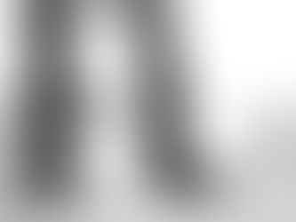 Le maître d’œuvre