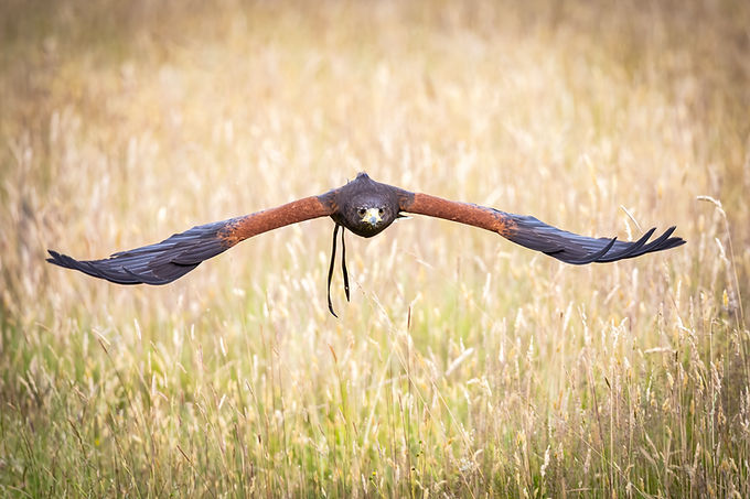 0T6A9130-Edit-Edit-48.jpg