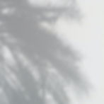 shadows-1.jpg