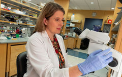 Research Update: Dystroglycanopathy