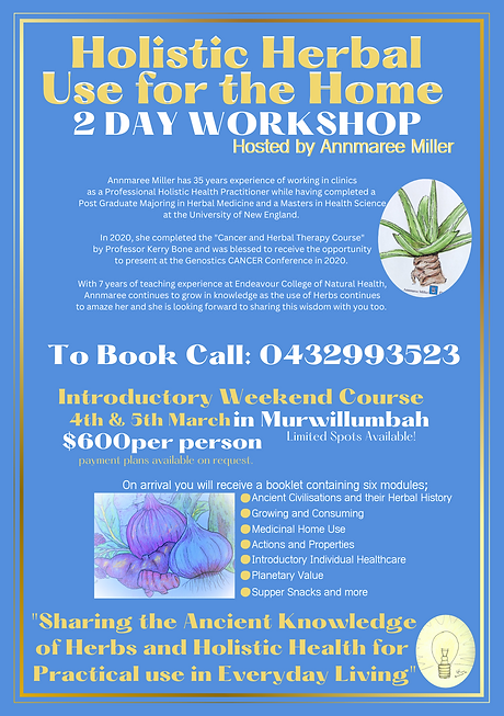 2023 Holistic Herbal Use for the Home poster Gracies.png