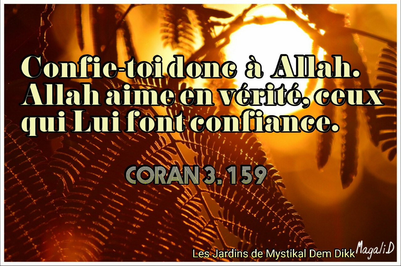 Le Verset Du Jour Sourate 3 Versets 159