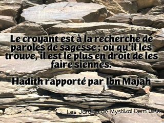 Hadith De La Recherche De La Sagesse