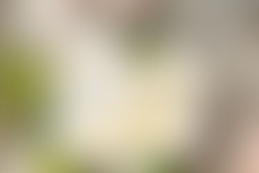 Nurturing Your Creative Spark: Cultivating Inspiration Throughout the Year—Part 3