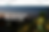 IMR_Screen
