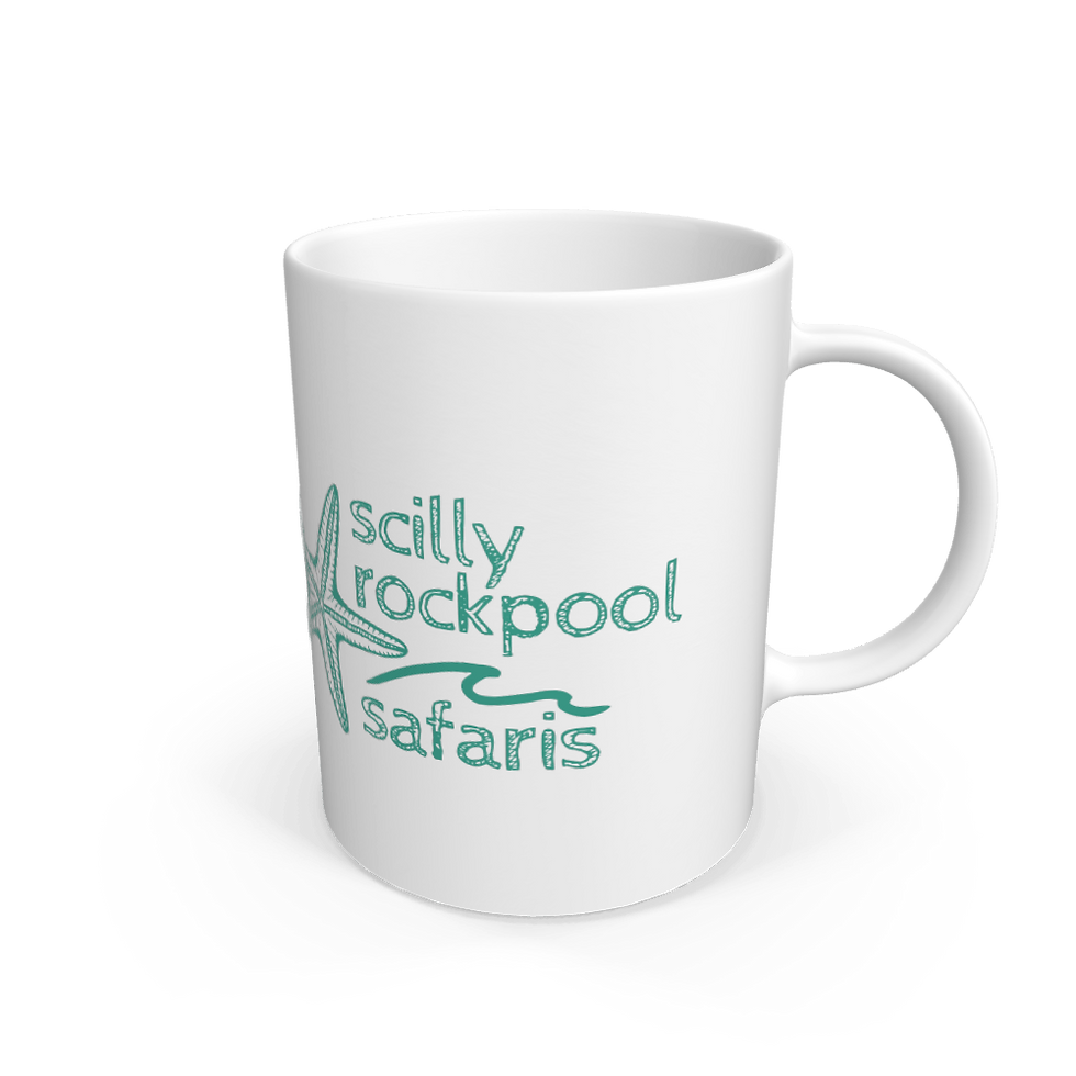 Scilly rockpool safari mug