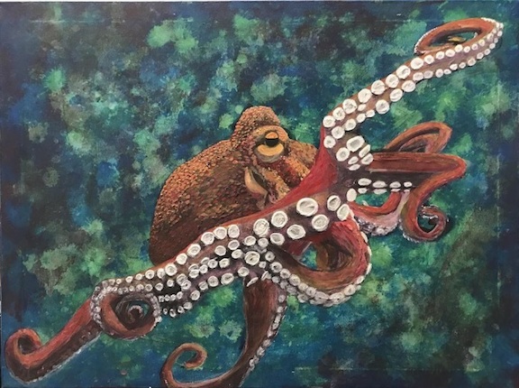 Tako by Kane