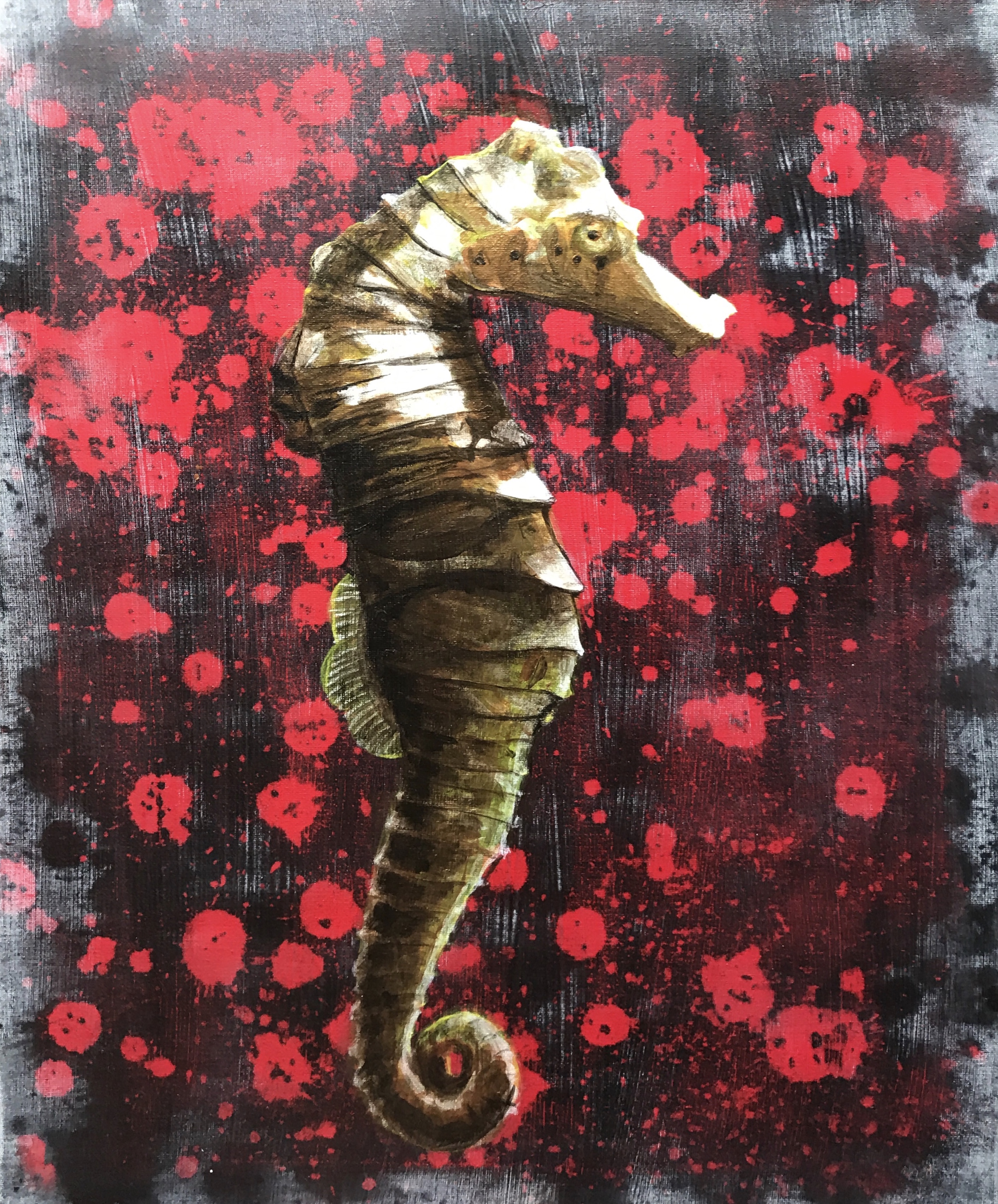 seahorse by kane