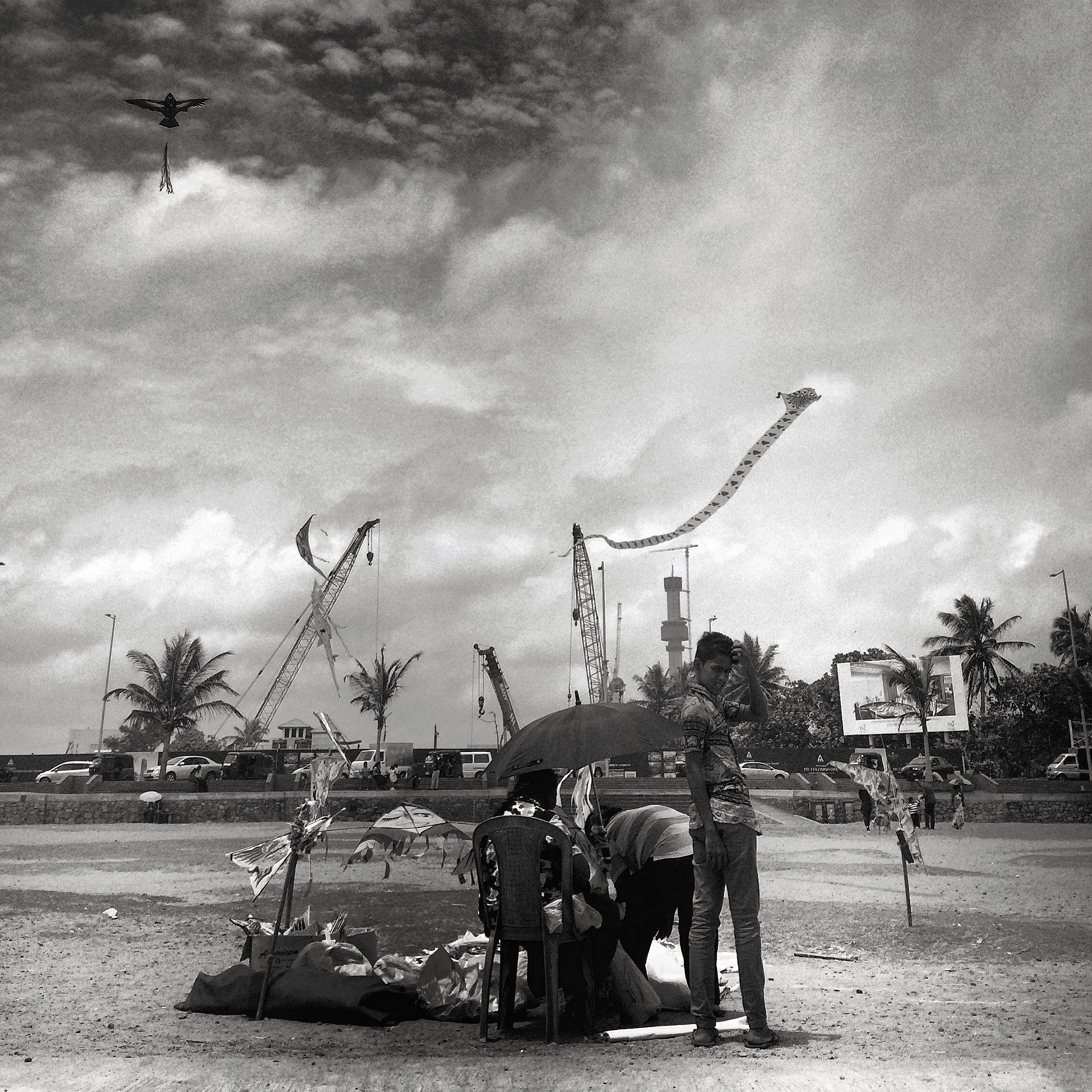 Young Man with Kites