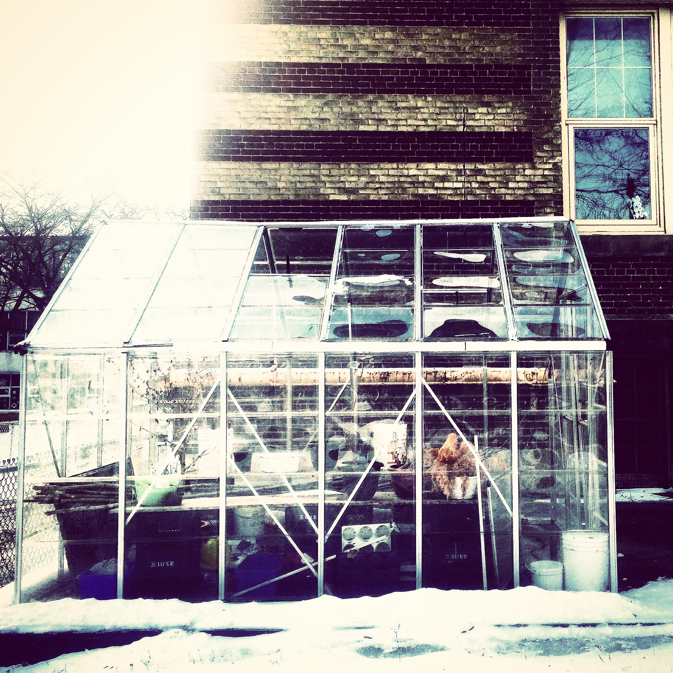 Winter Greenhouse