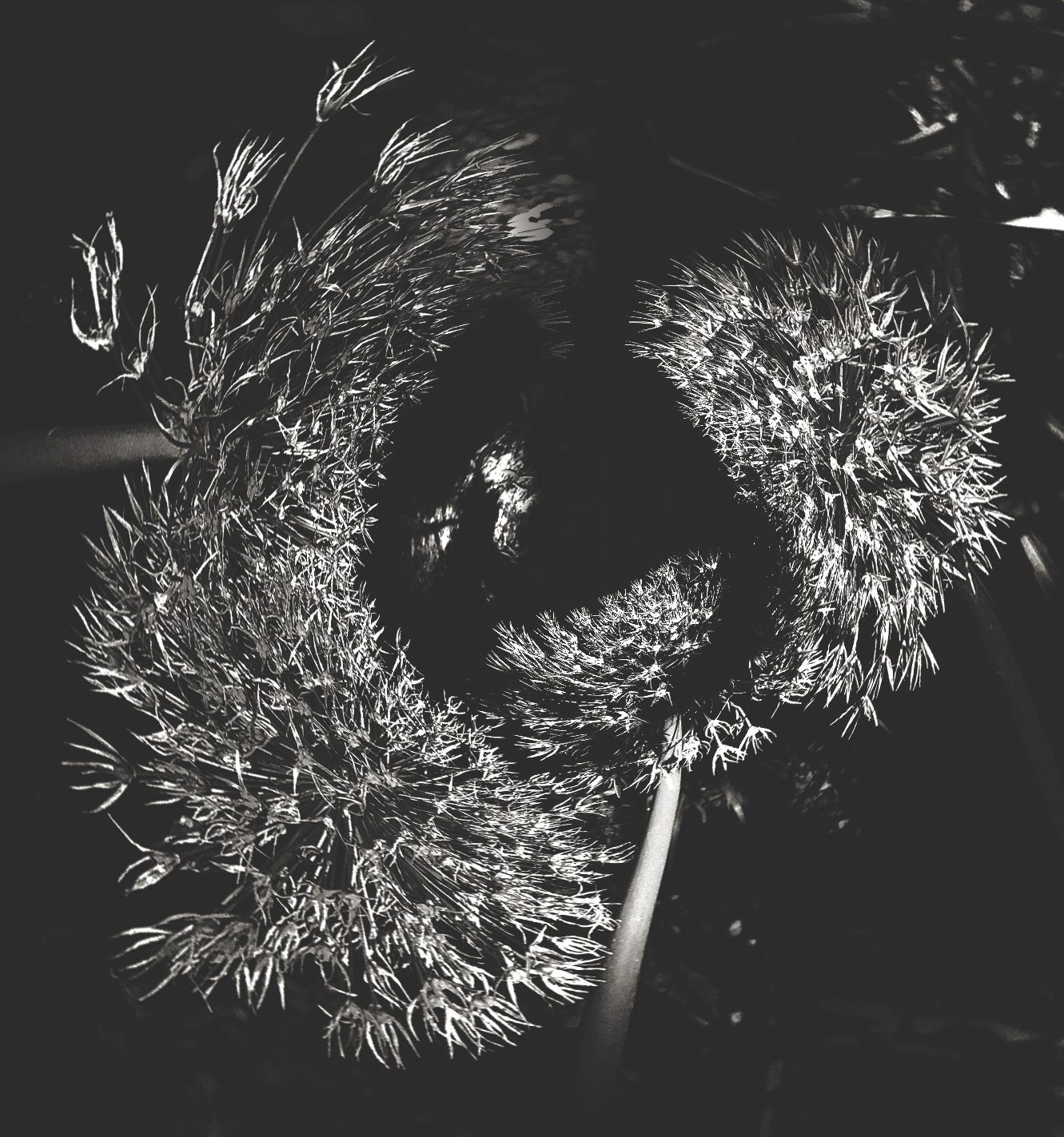I was pulled apart