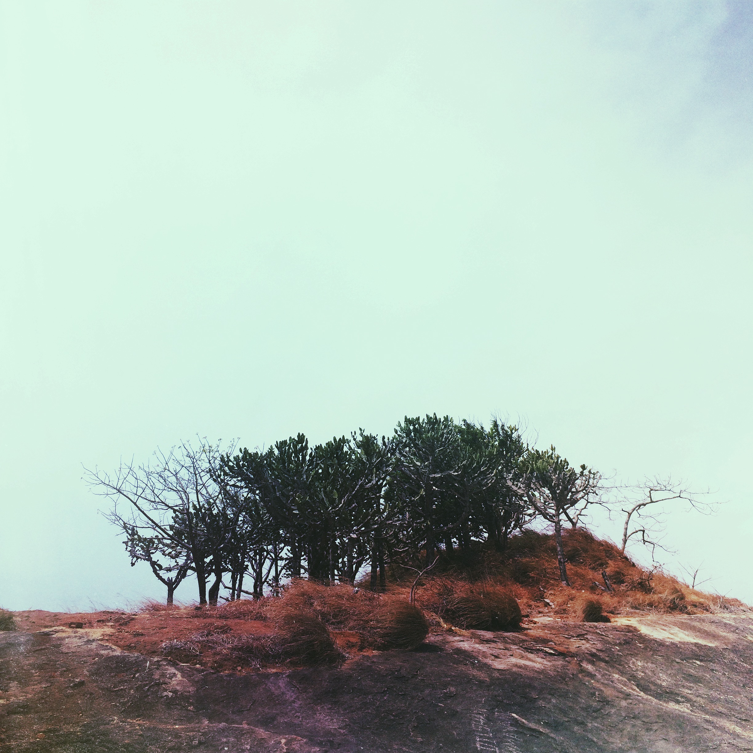 Oblivion