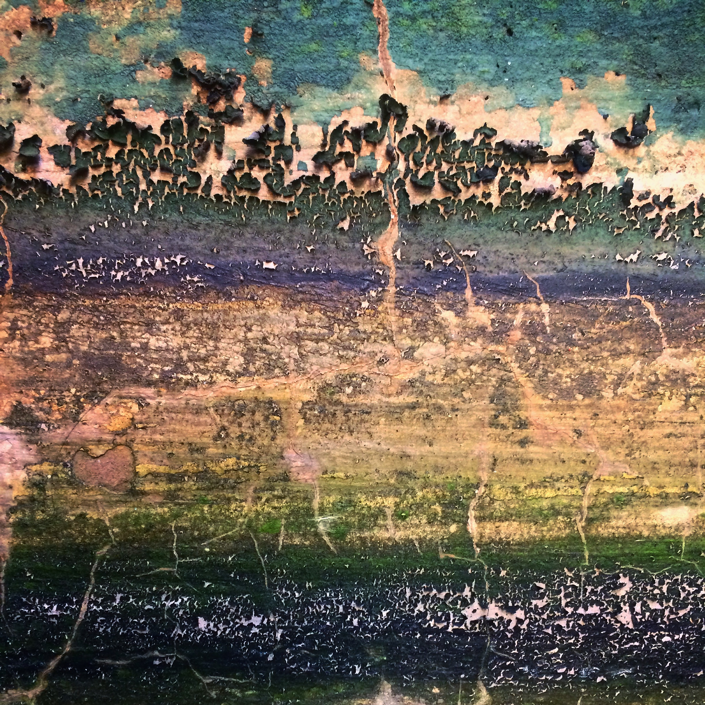 Decay1