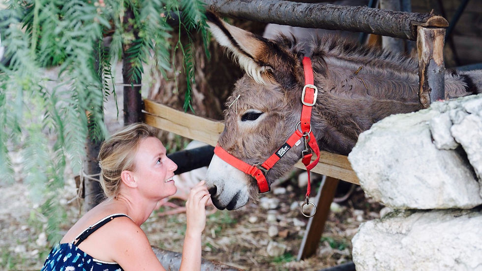 Villa Dei Papiri Donkeys