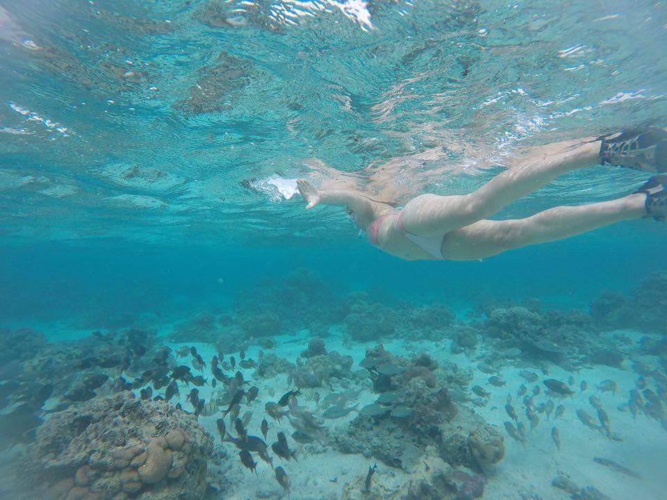 Snorkelling in Rarotonga