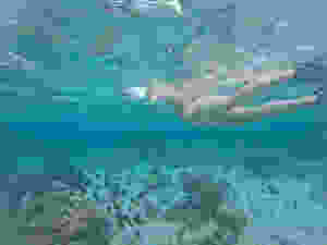 Snorkelling in Rarotonga