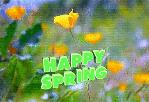 76de0dfd40ed50a55b4227012cb040da.gif