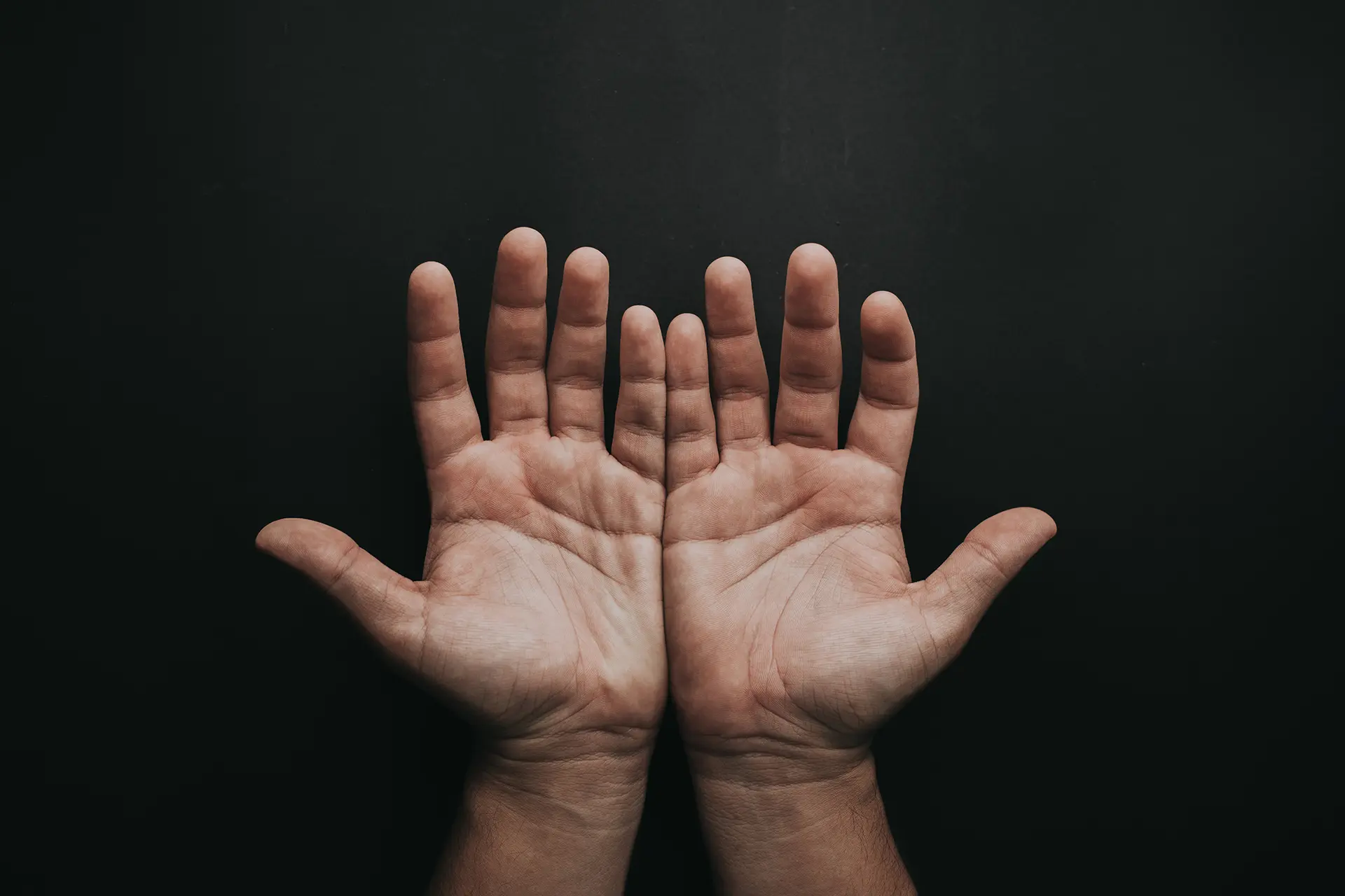 Helicoid Studio - Testimonials: You are in good hands