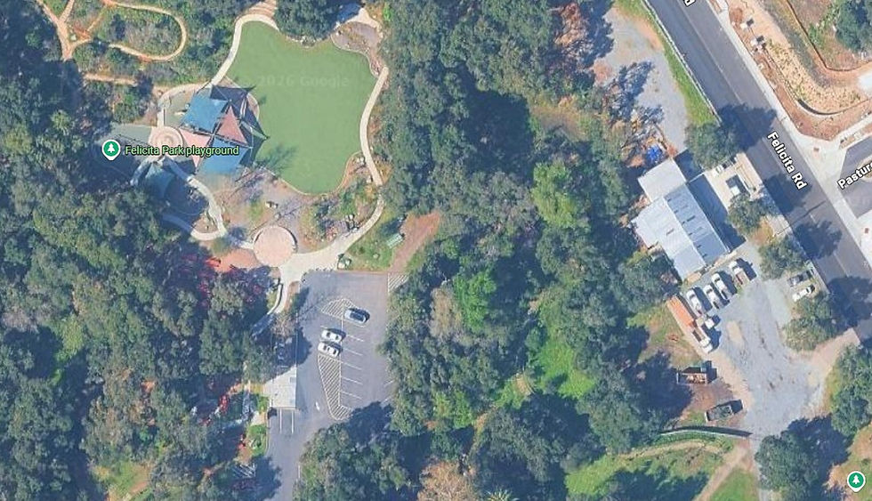 Birds of Pray Birdwatching Event - Felicita Park (Note: Fee Charged)