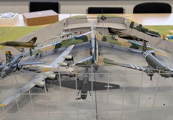 PXL_20251102_092527291.PORTRAIT