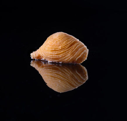 Dim Sum Pastry