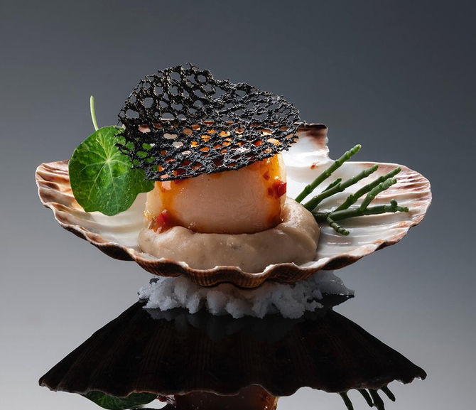 Scallop