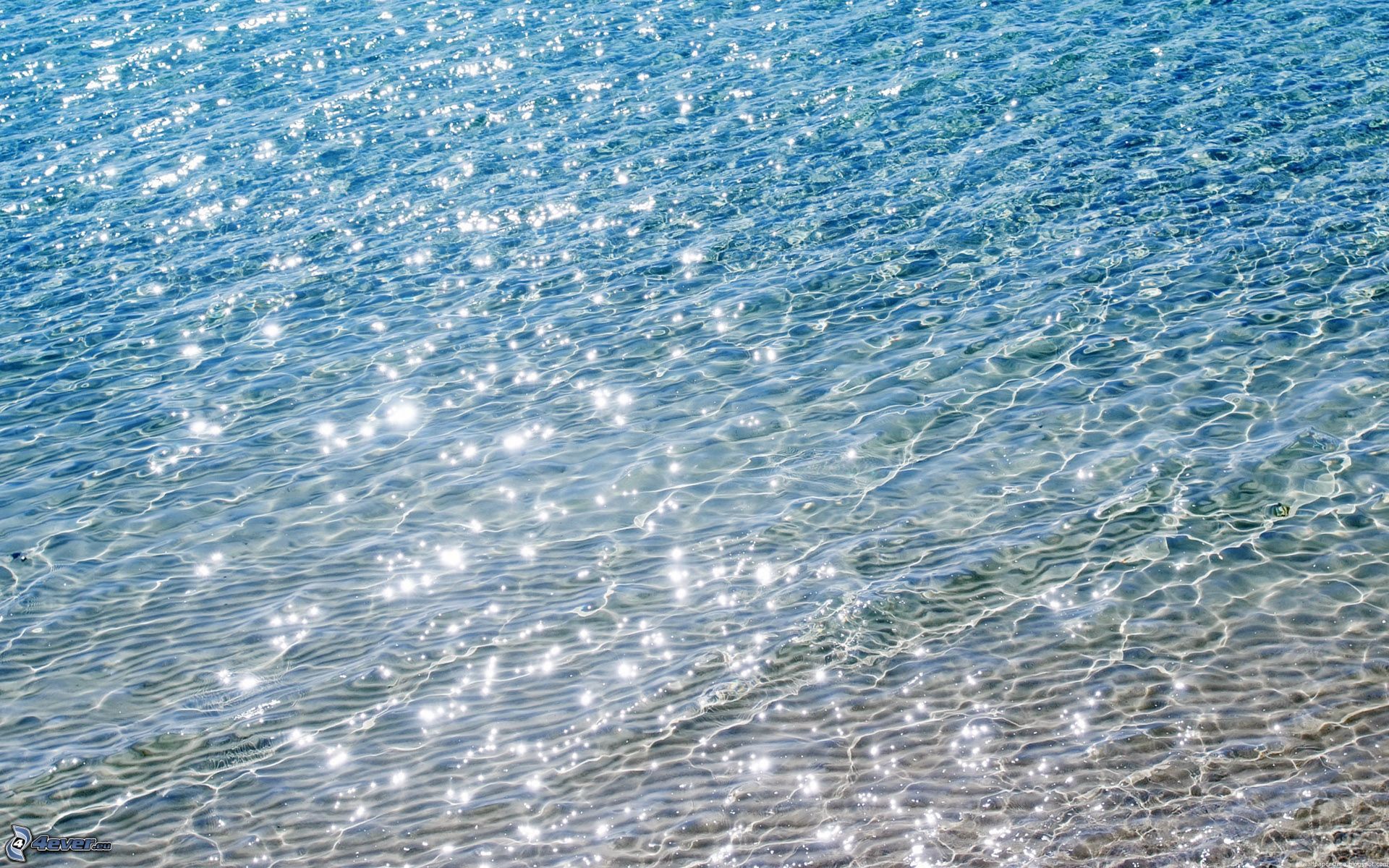 Cicatrici E Acqua Di Mare Guarire con l'acqua di mare: ecco come | ricetteesalute