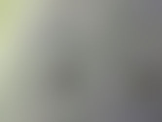 ヒメクチキムシダマシと手すりの虫たち