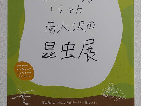 こどもたちがしらべた南大沢の昆虫展