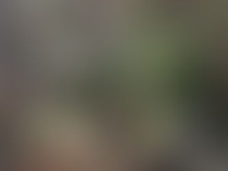 花だけが華じゃない