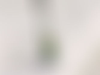 アオサナエの逆立ち