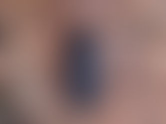 続・ケヤキ樹皮下の生物多様性