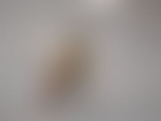 続・小さな現場監督