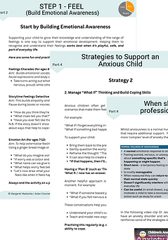 Booklet Example 1 Picture.png
