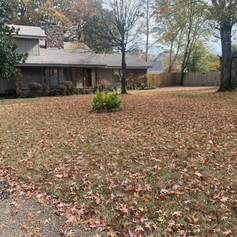 Before Leaf Removal Project